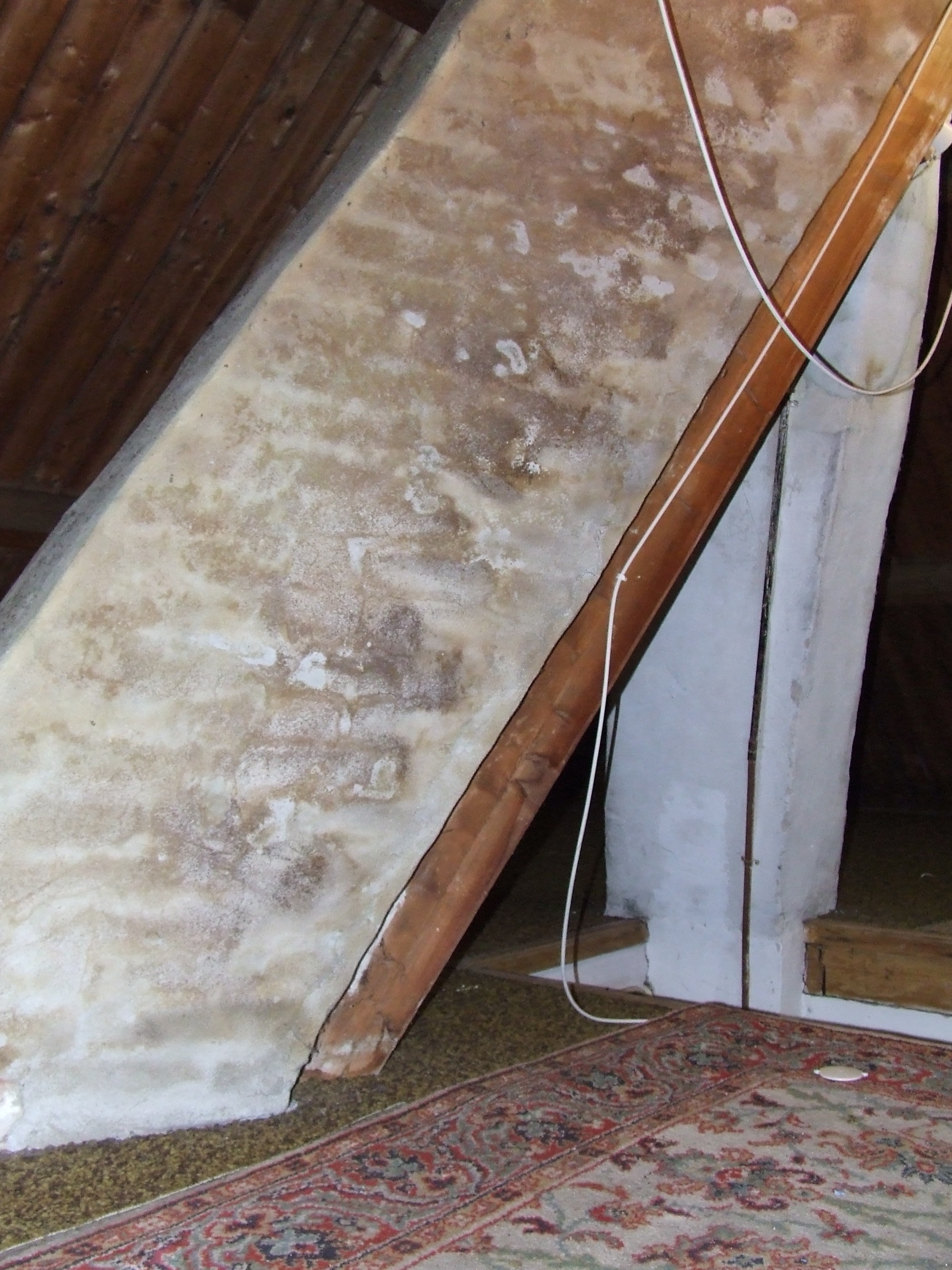 Vrijstaande woning te koop, Petronellaweg 10, twintig jaar later, Renkum – foto 33